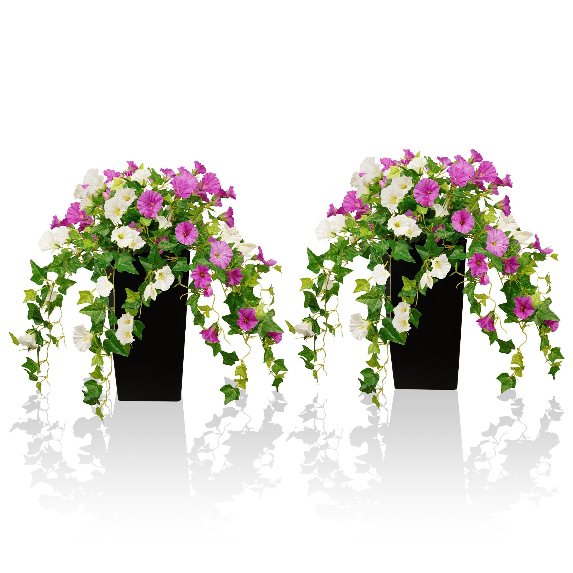 #Style_Morning Glory