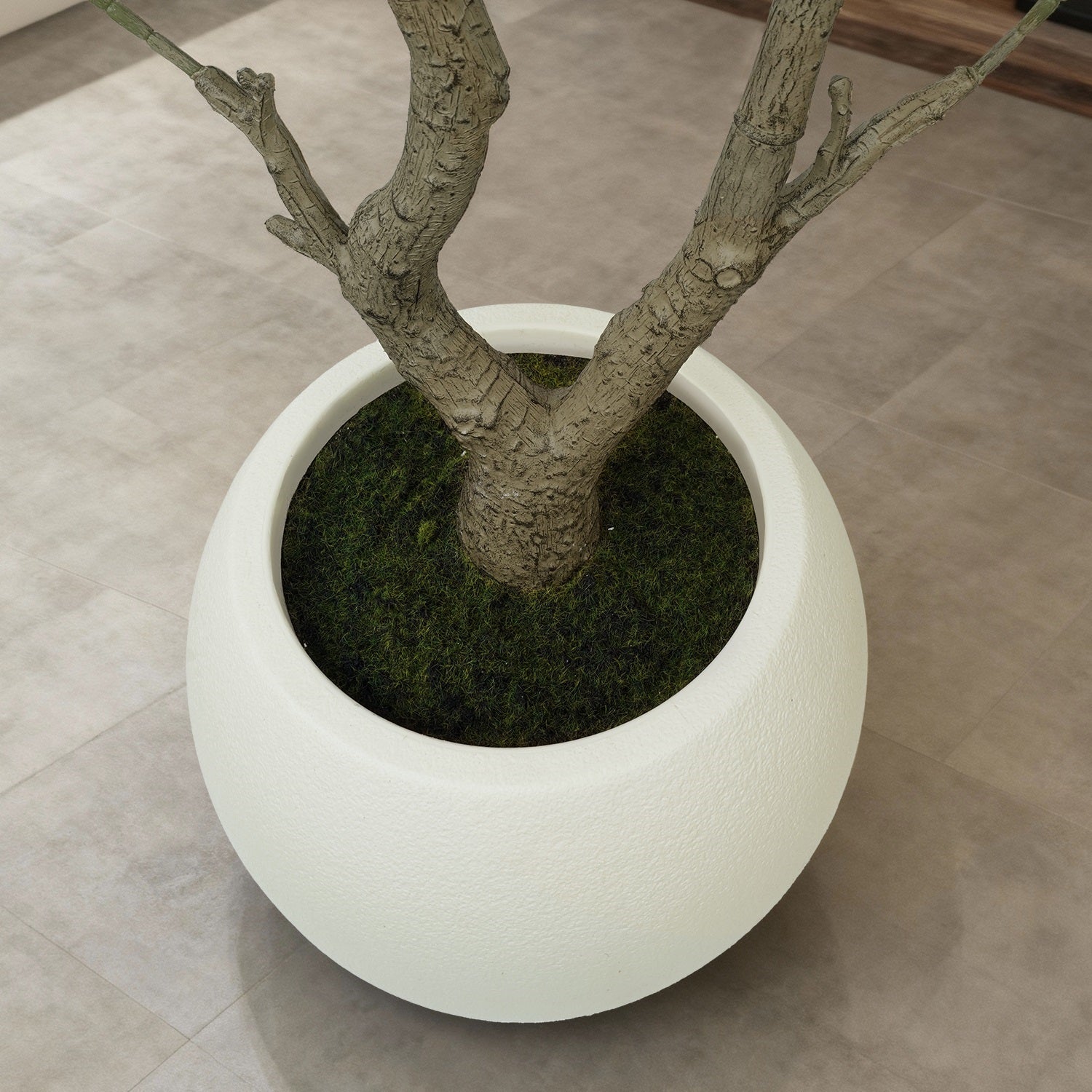 White planter with a tree on a tiled floor