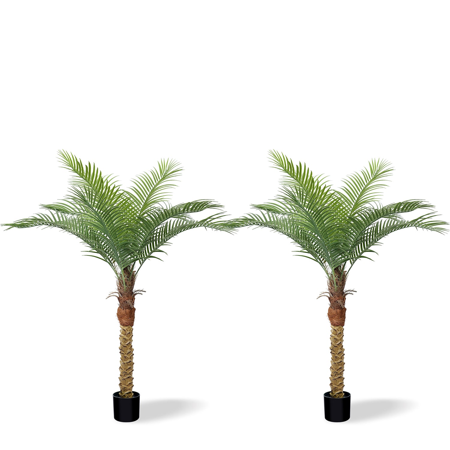 #Size_4.5' 9 leaves(140 cm)