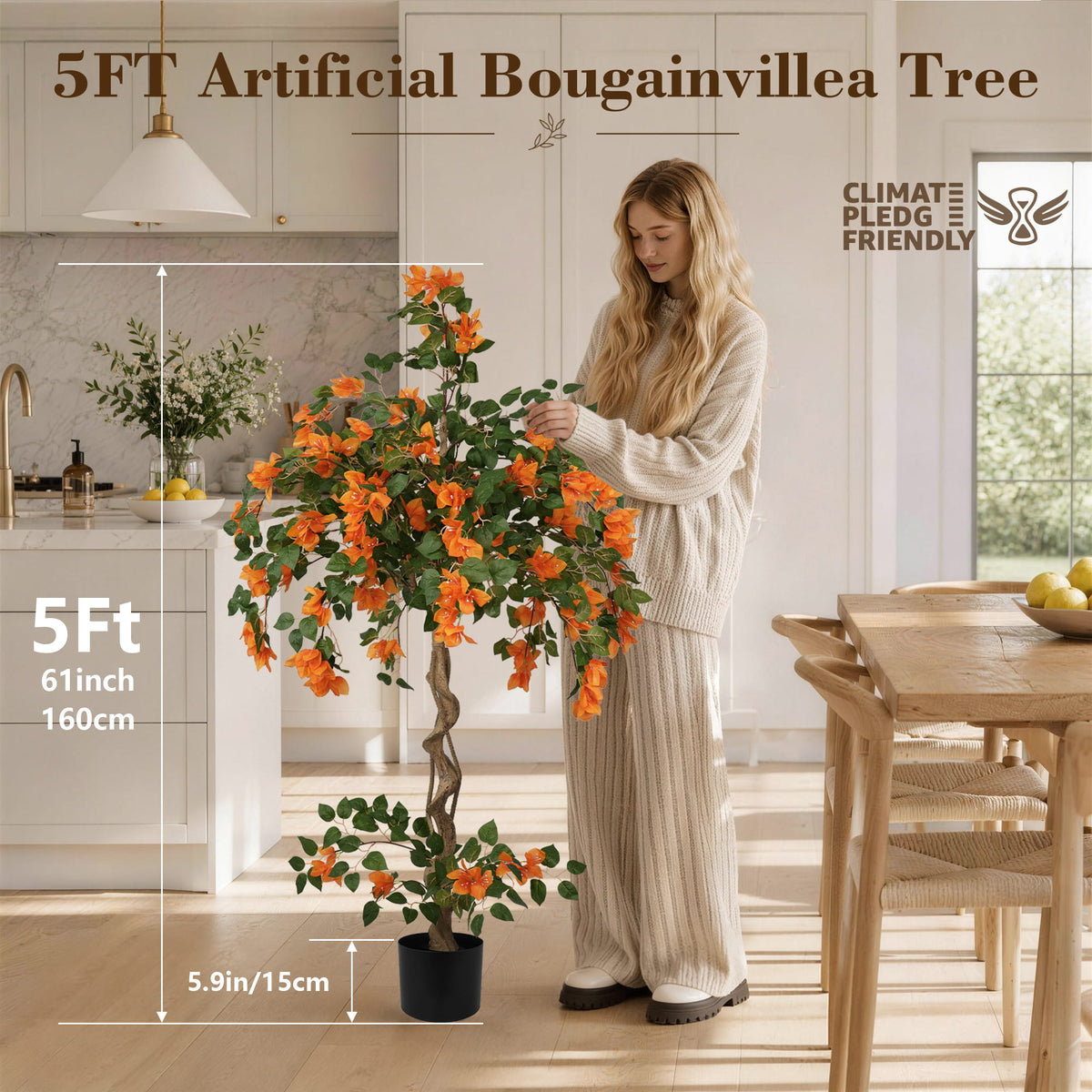 #Size_5 ft (60 in )