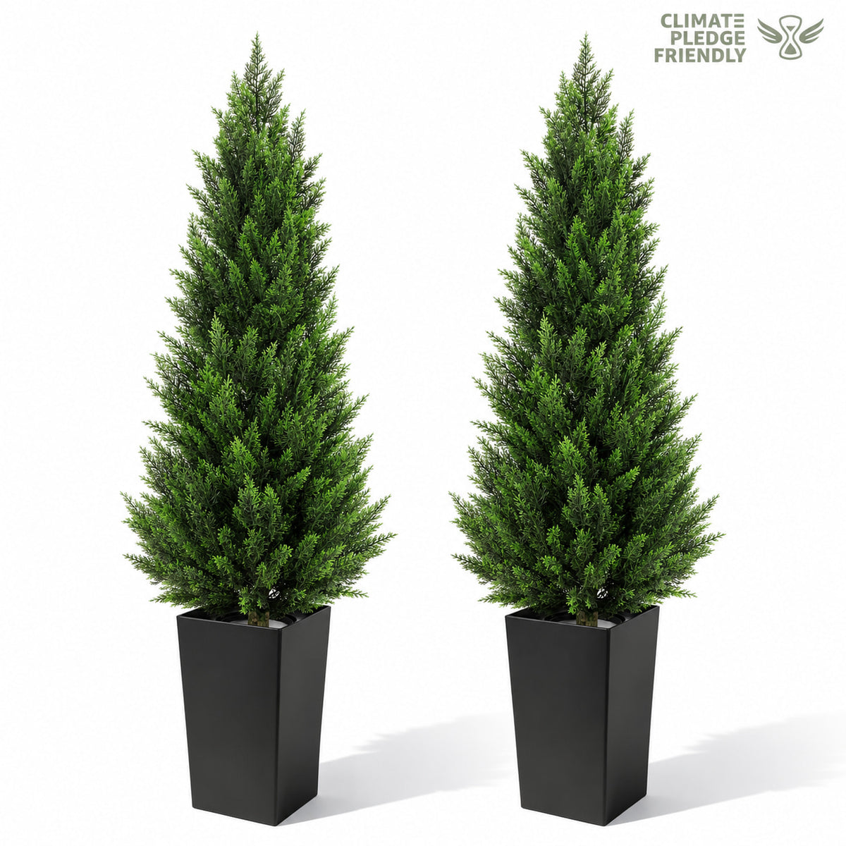 #Size_5'(60 In)+Black Pot(12 In)