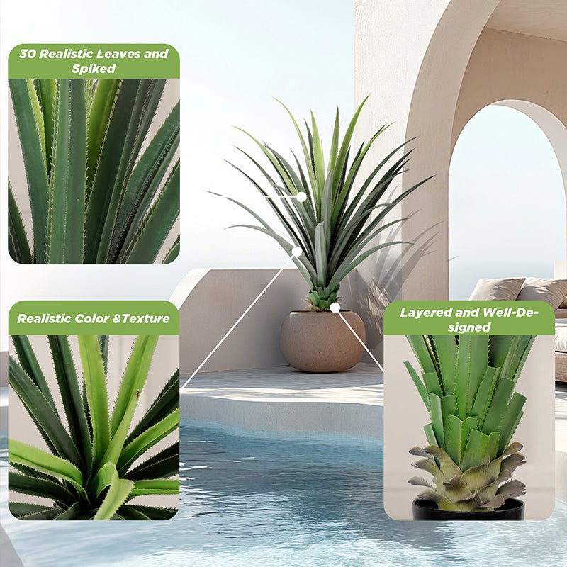 3'-4' Spiked Agave Potted Plant