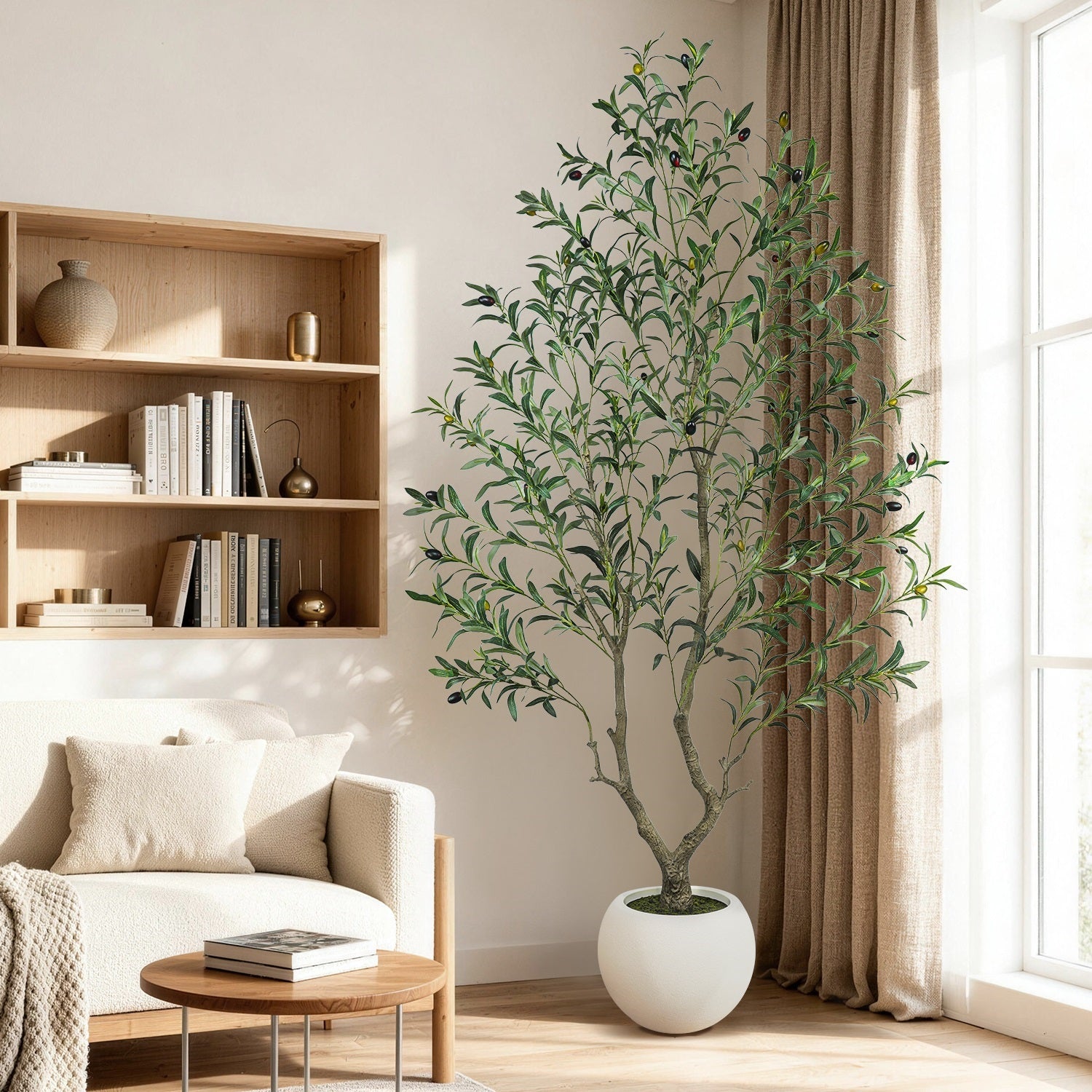Living room with a potted plant, bookshelf, and sofa.