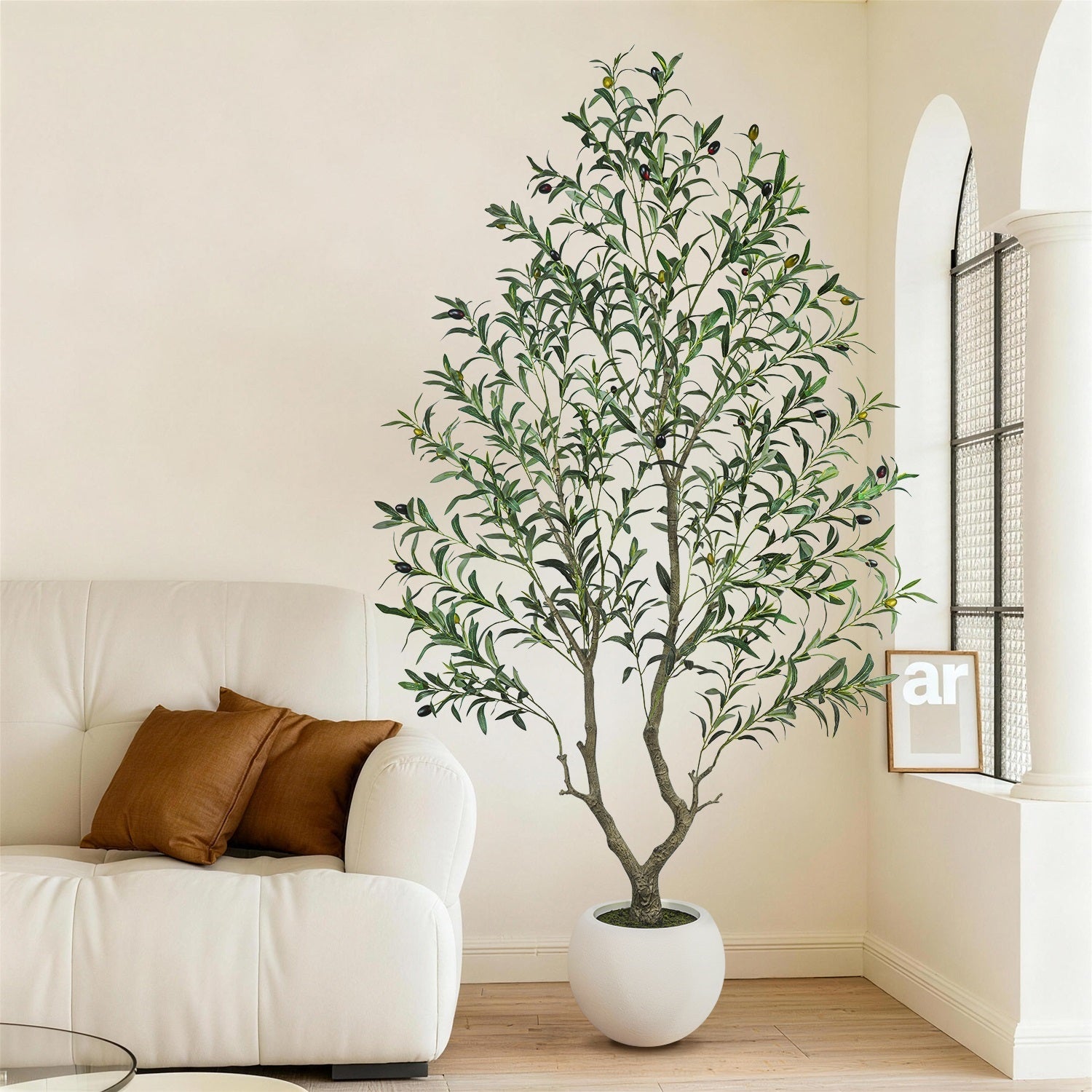 Potted plant in a living room with a white sofa and a window in the background