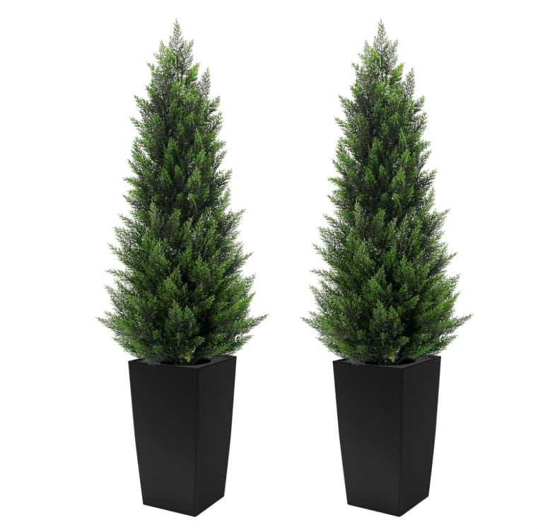 #Size_4'(48 In)+Black Pot(12 In)