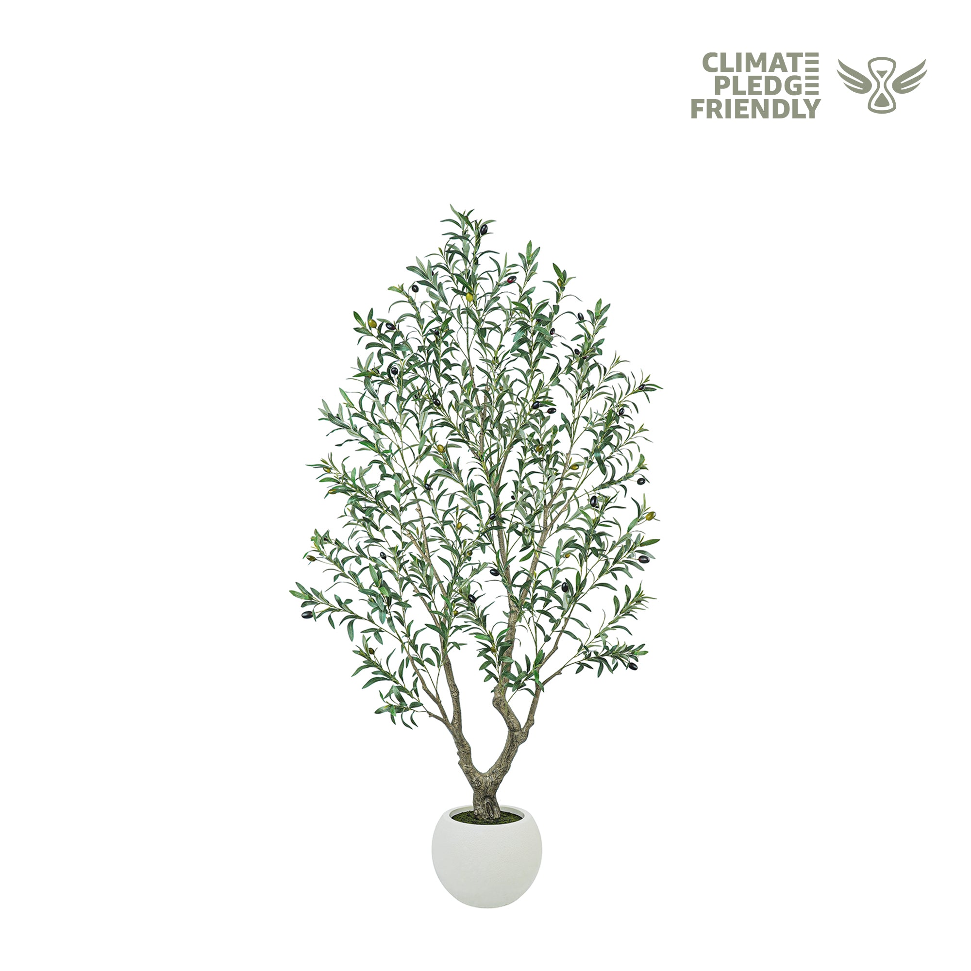 Potted plant with 'Climate Pledge Friendly' logo on a white background
