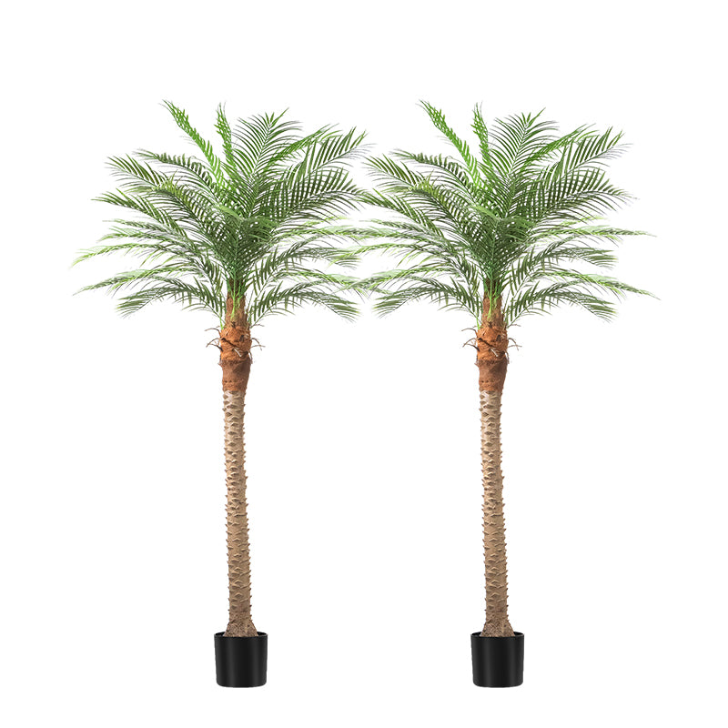 #Size_8' 18 leaves(240 cm)