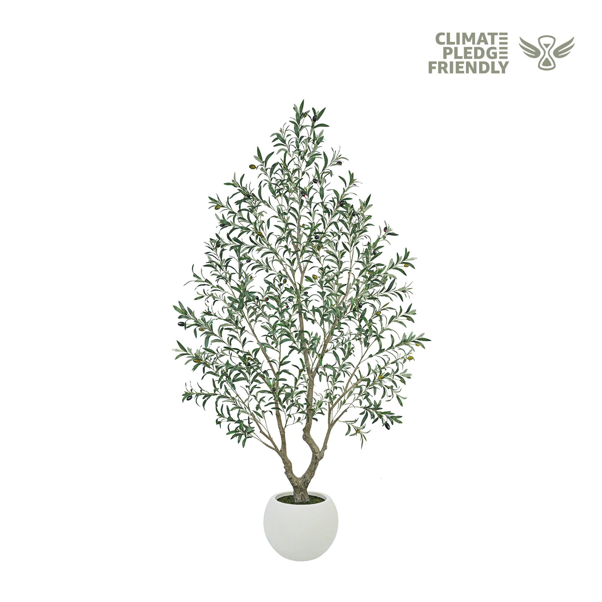 Potted plant with green leaves on a white background, featuring the Climate Pledge Friendly logo.