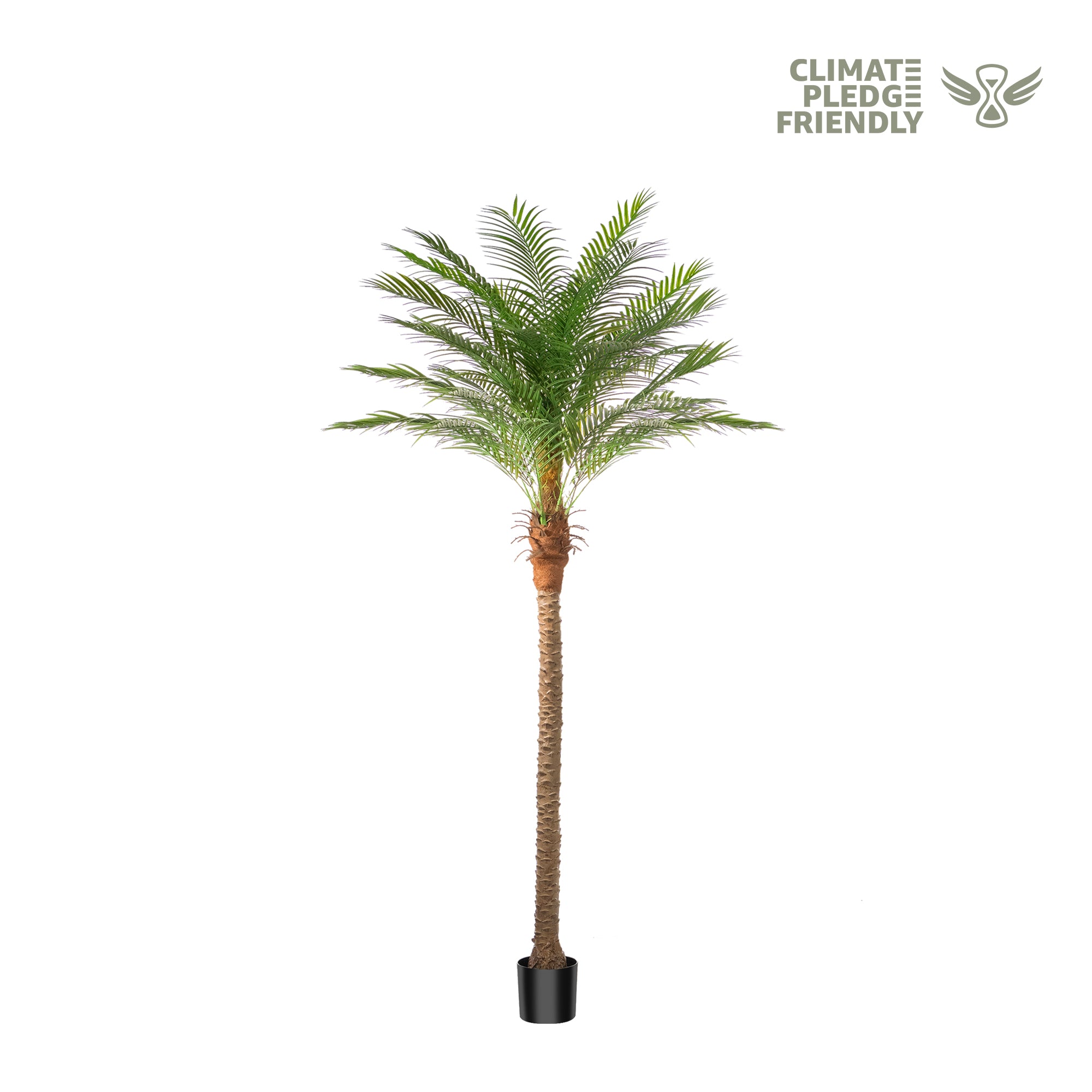 #Size_9' 21 leaves(270 cm)