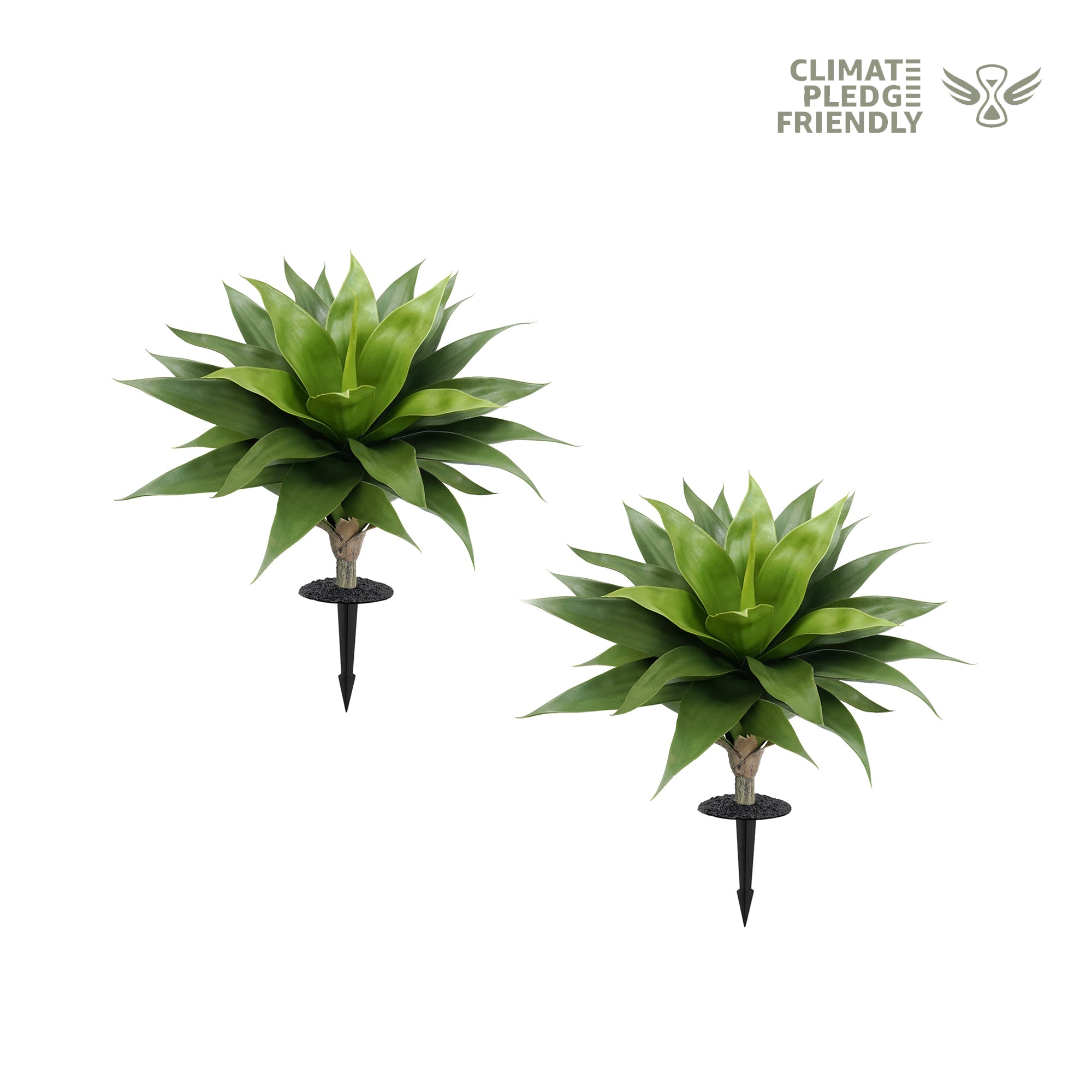 #Style_Green Pauline-70 cm