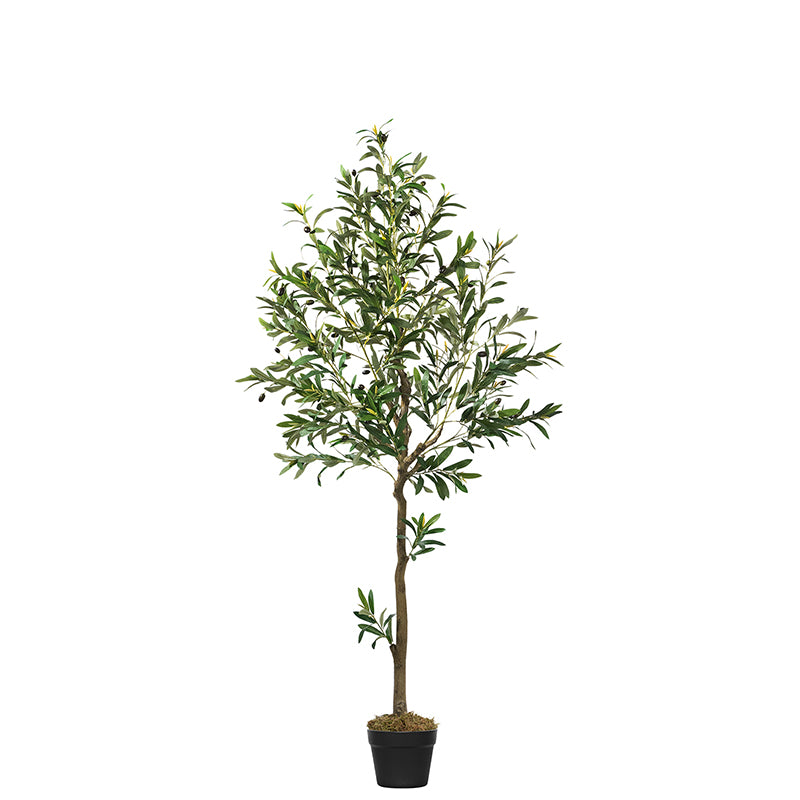 #Size_6FT(185CM) 863 Leaves 36 Fruits
