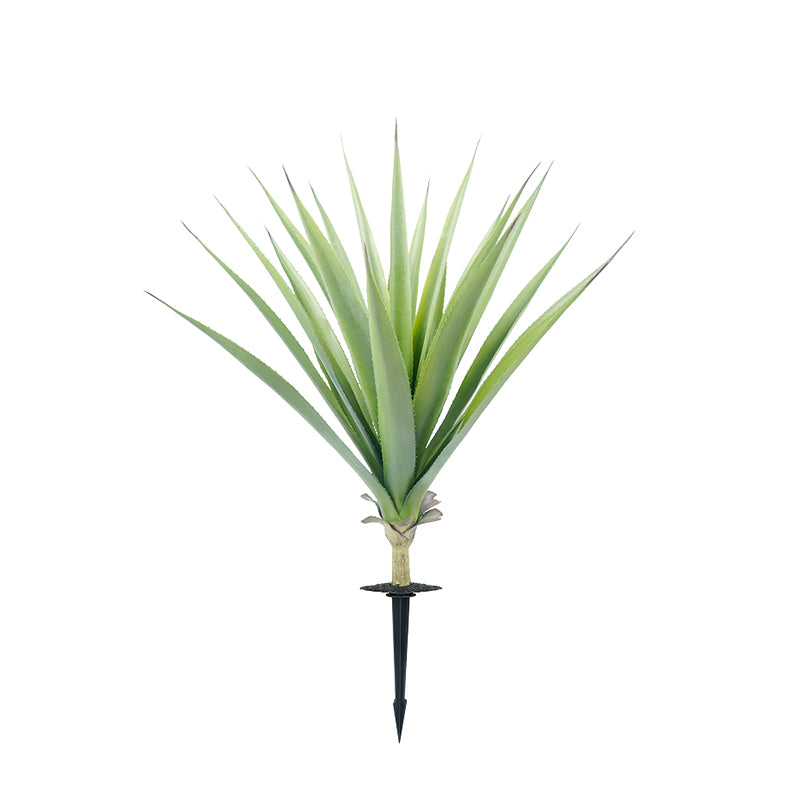 #Style_Upright Agave-85 cm