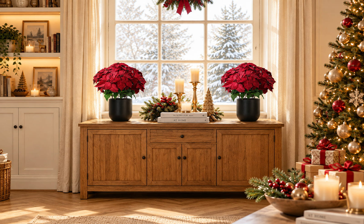 Two red artificial poinsettia plants in black pots on a Christmas sideboard.