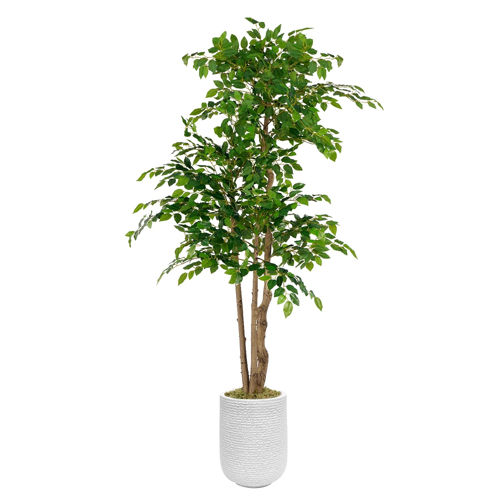 Artificial Banyan Tree