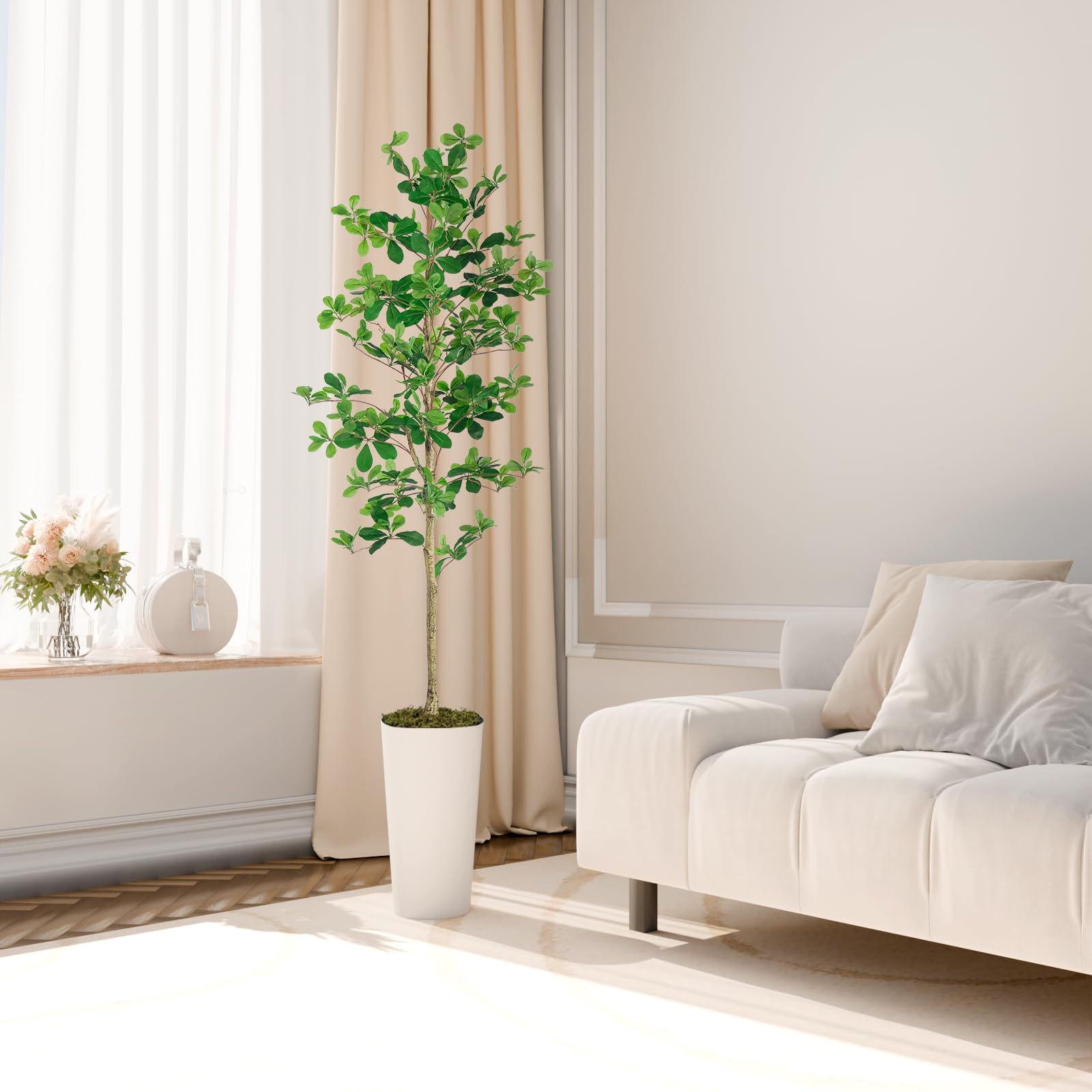 6' Shady Lady Trees(With White Plastic Pot)