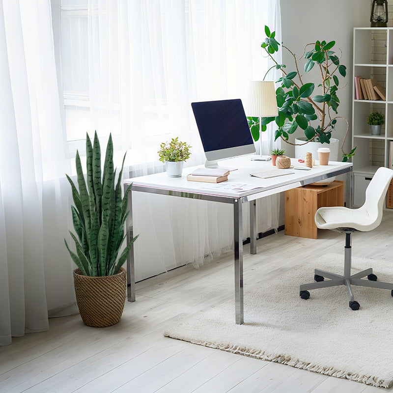 The Tiger Tail Plant (Snake Plant) is made of PE material, which is not only environmentally friendly, but also odorless. 