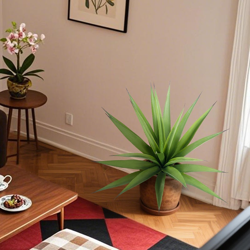 #Style_Upright Agave-85 cm