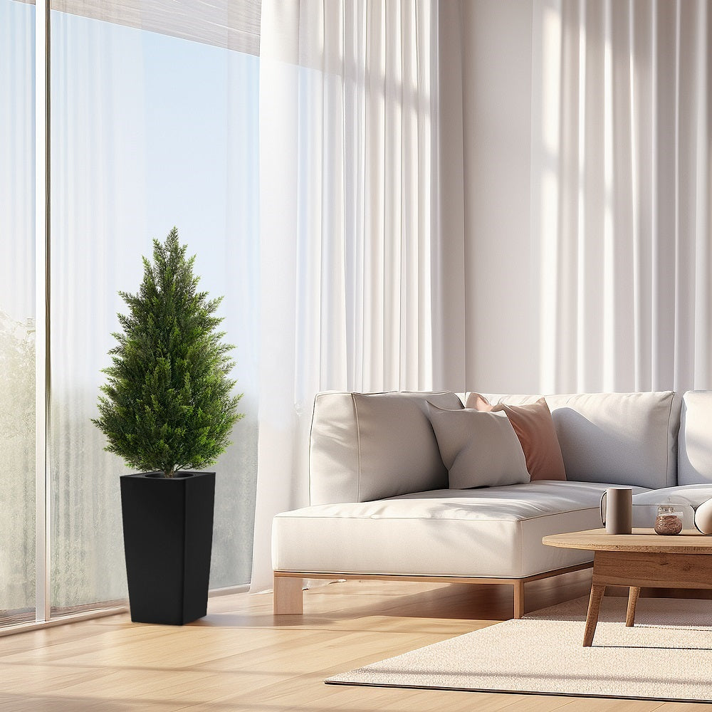 Black Pot with Cedar Trees