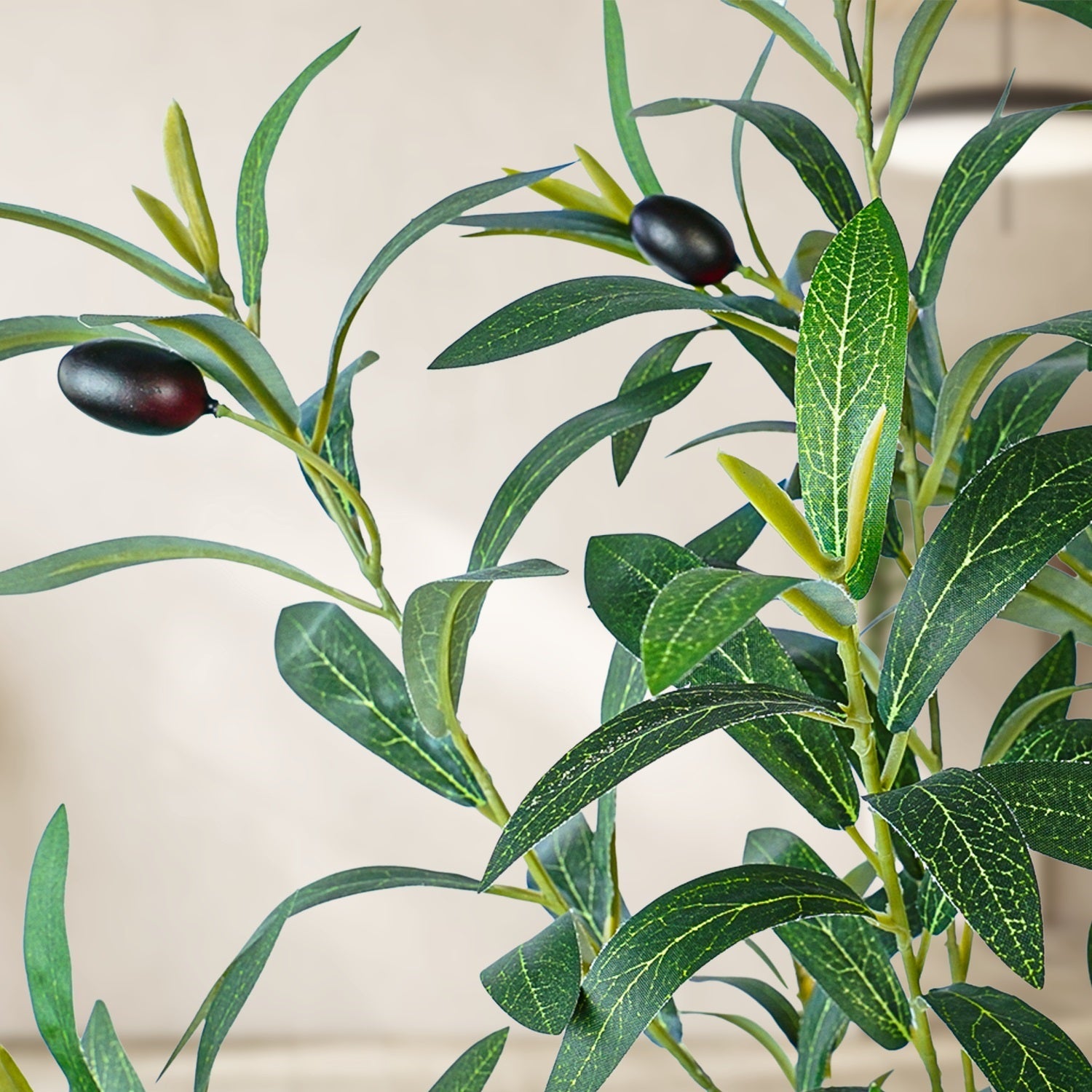 Olive branch with green leaves and black olives on a neutral background