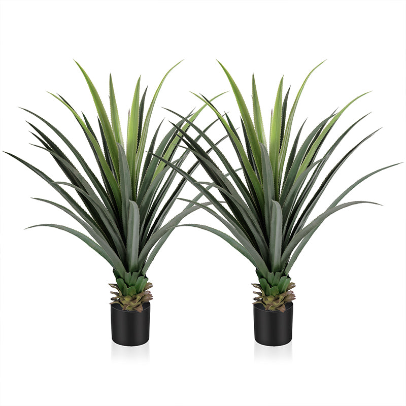 3'-4' Spiked Agave Potted Plant