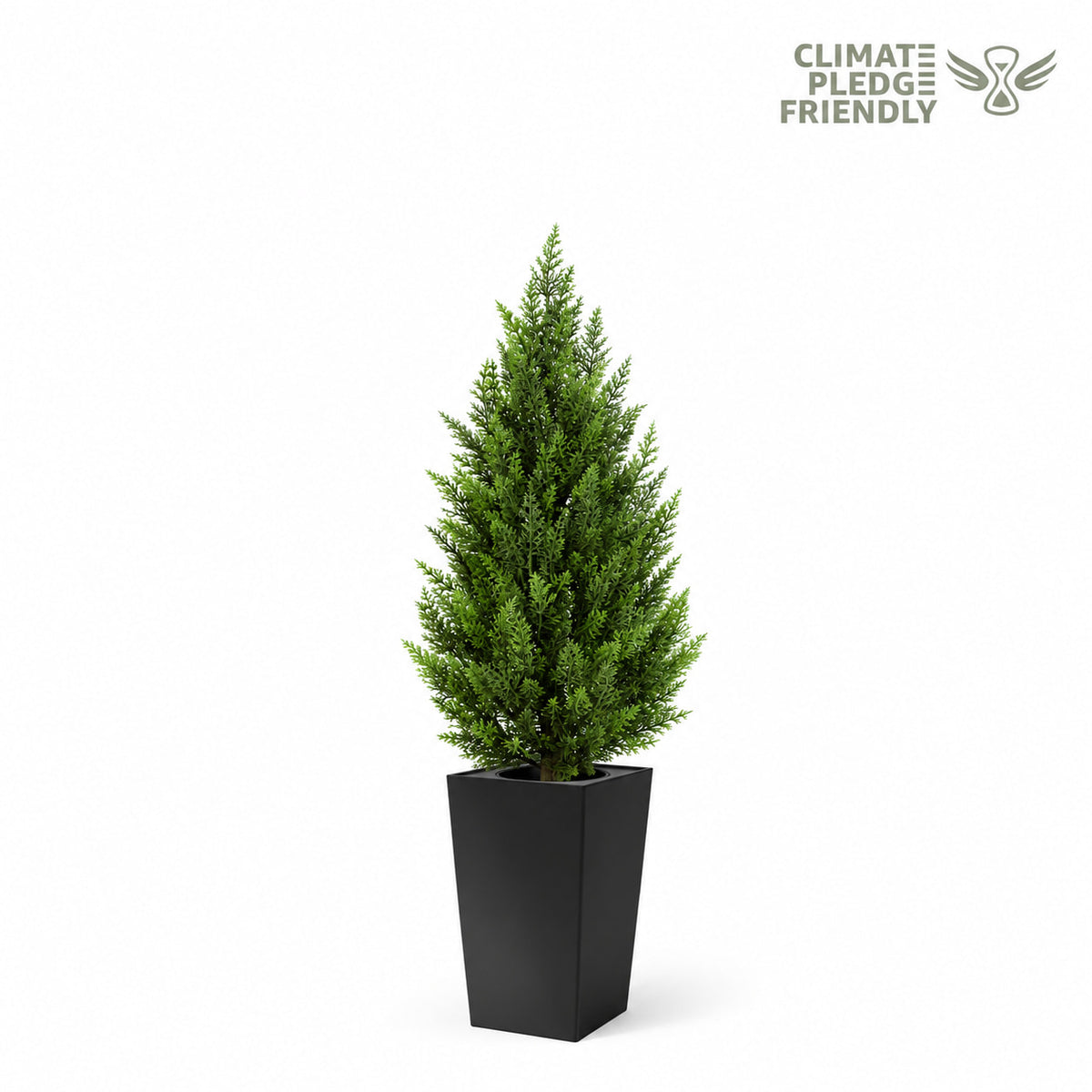 #Size_3'(36 In)+Black Pot(12 In) #Quantity_1 Tree (1 Tree + 1 Pot)