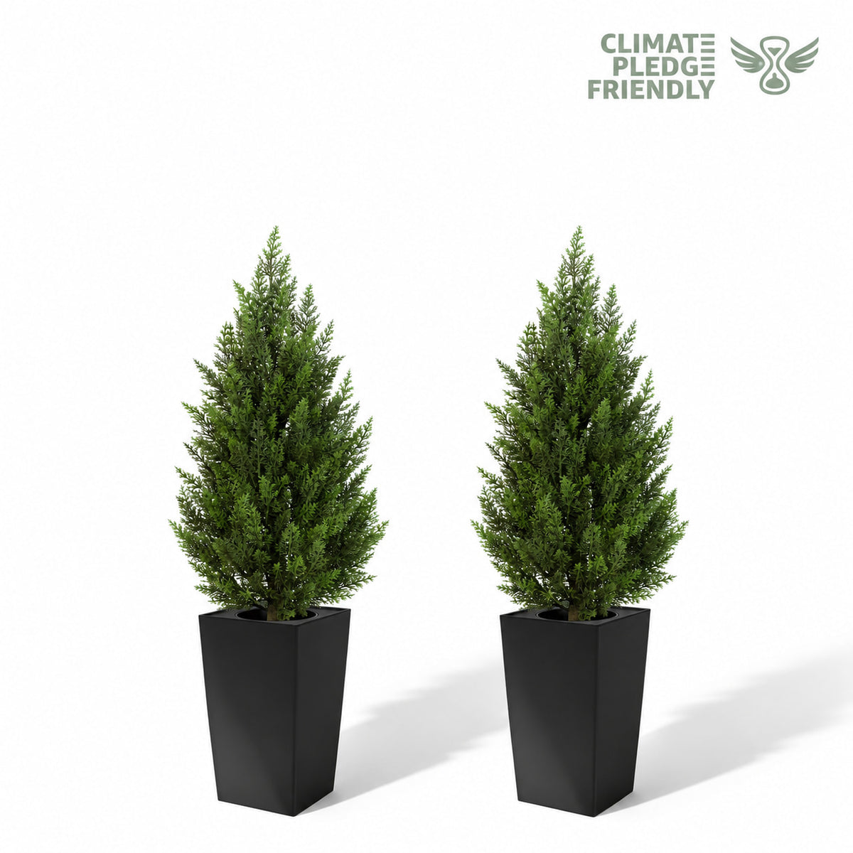 #Size_3'(36 In)+Black Pot(12 In) #Quantity_2 Trees (2 Trees + 2 Pots)