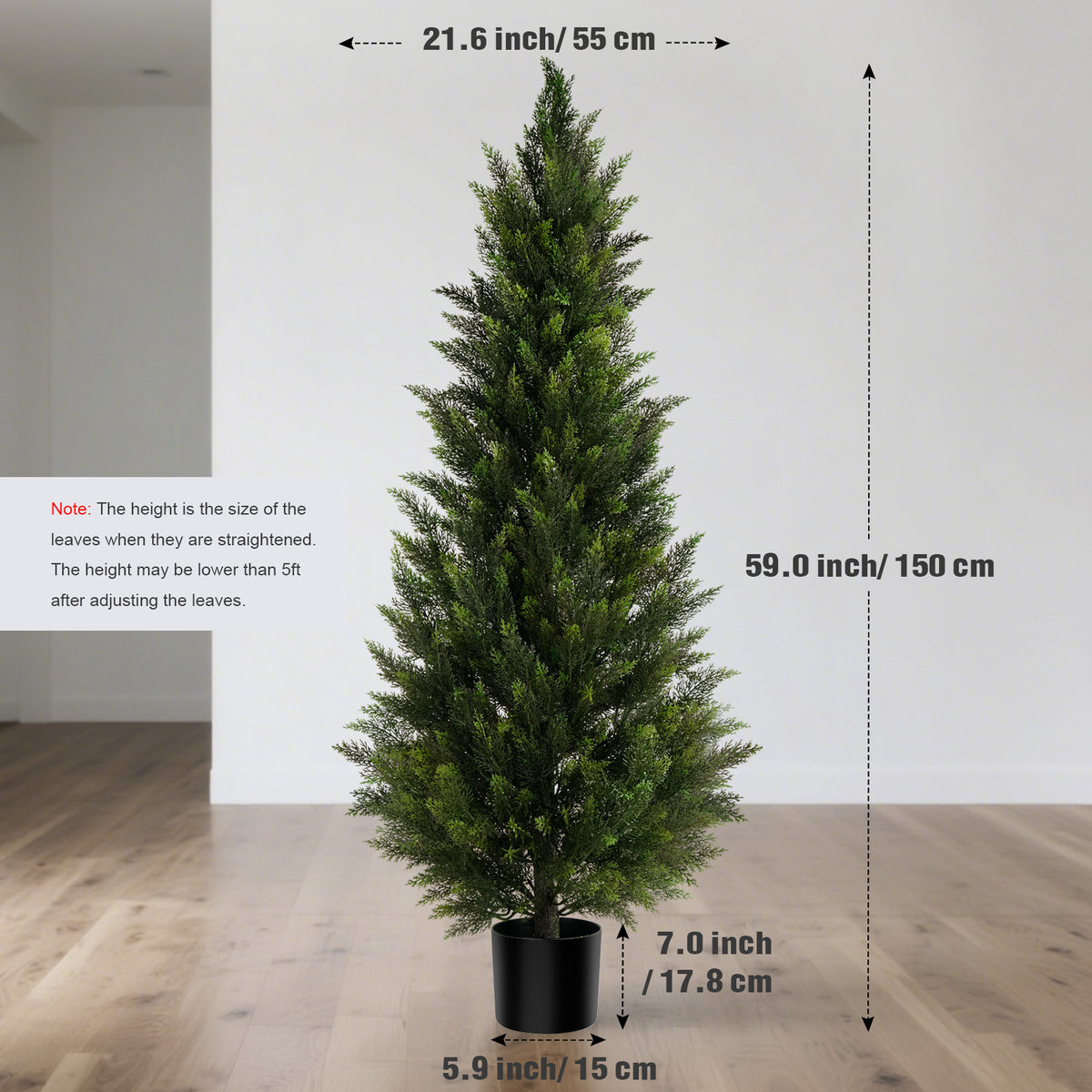 #Size_5'(60 In) #Quantity_2 Trees