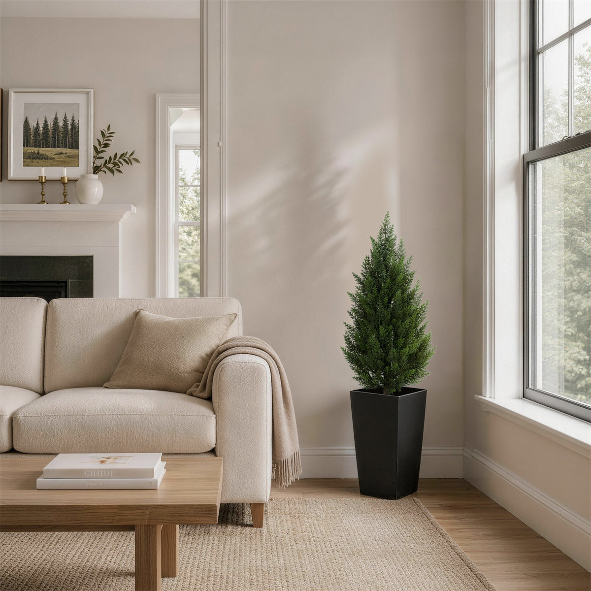 #Size_3'(36 In)+Black Pot(12 In) #Quantity_2 Trees (2 Trees + 2 Pots)