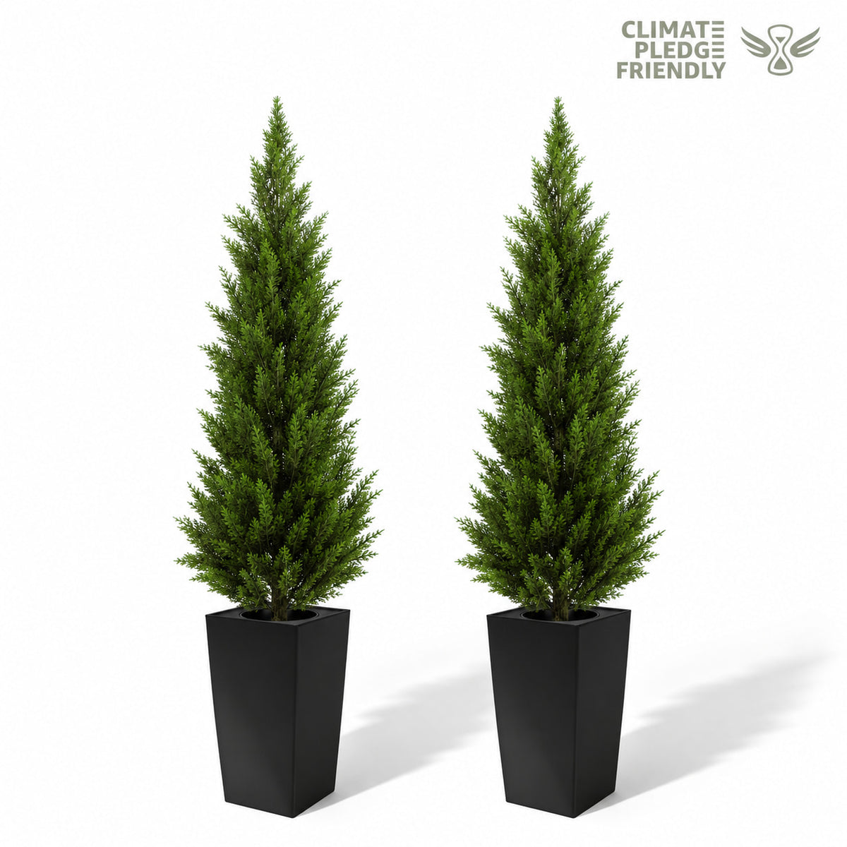 #Size_4'(48 In)+Black Pot(12 In) #Quantity_2 Trees (2 Trees + 2 Pots)