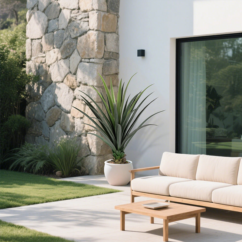 3'-4' Spiked Agave Potted Plant
