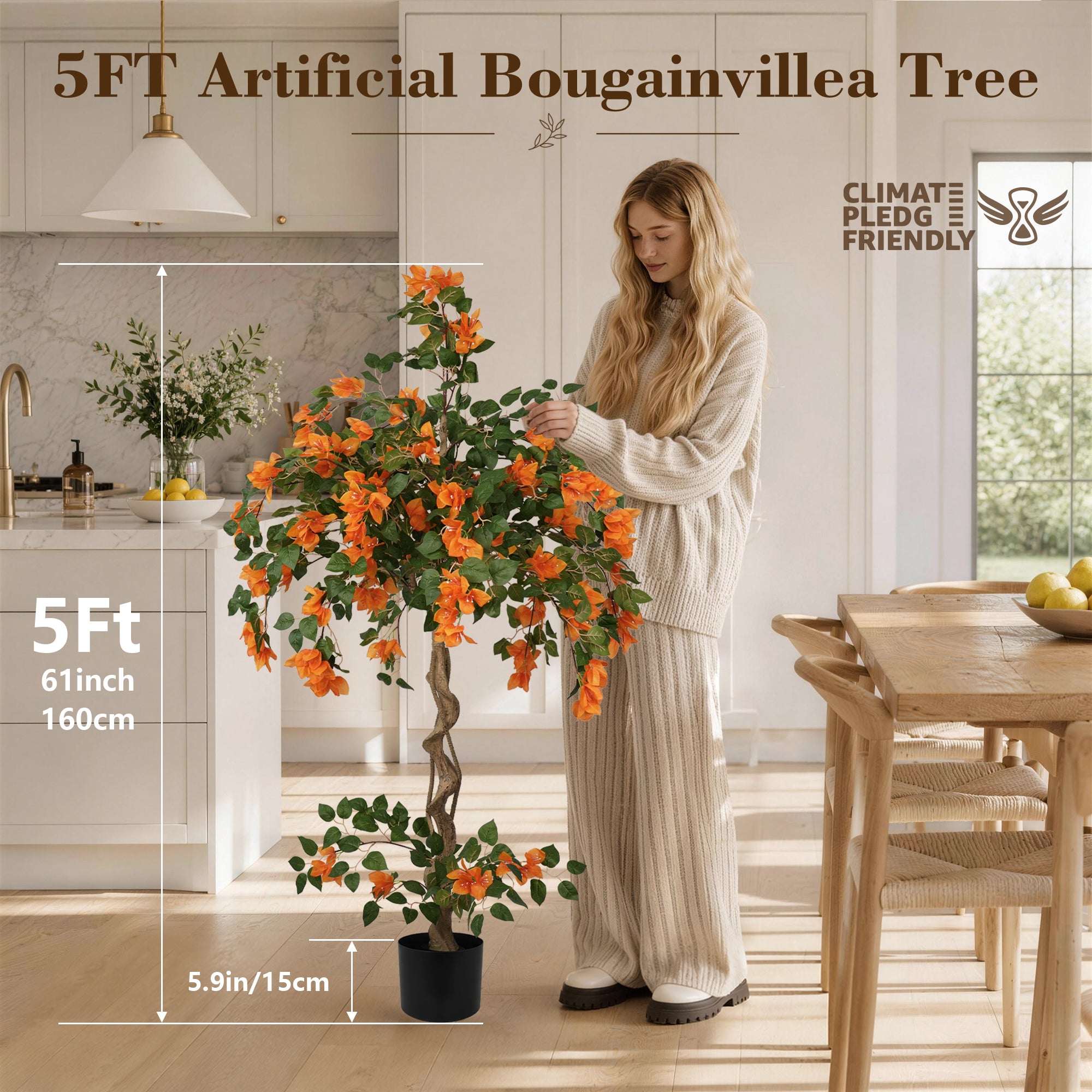 #Size_5 ft (60 in )