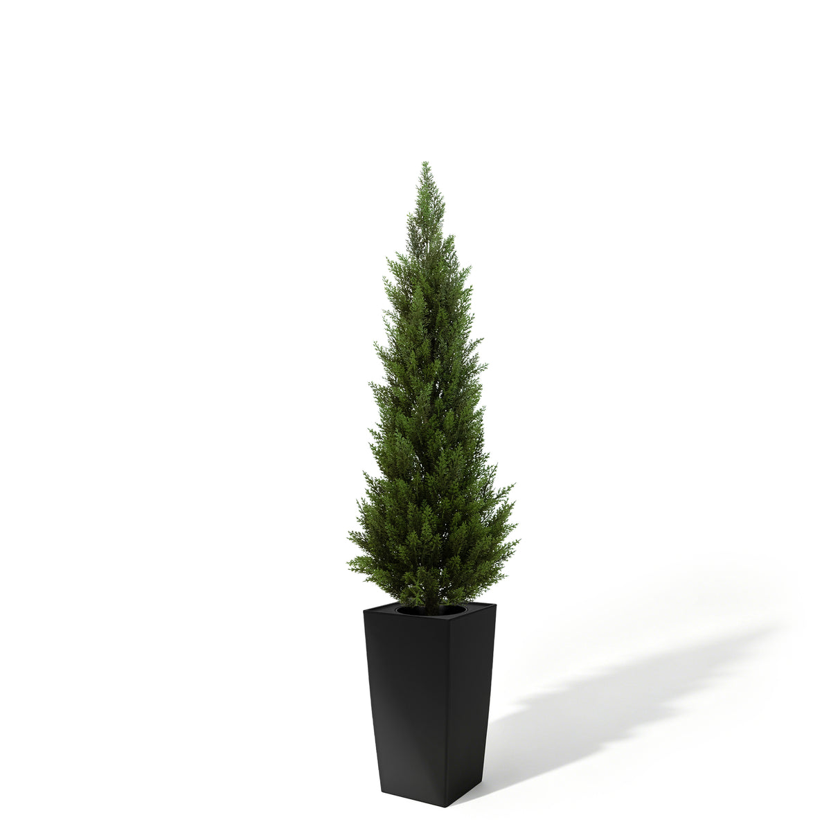#Size_4'(48 In)+Black Pot(16 In) #Quantity_1 Tree