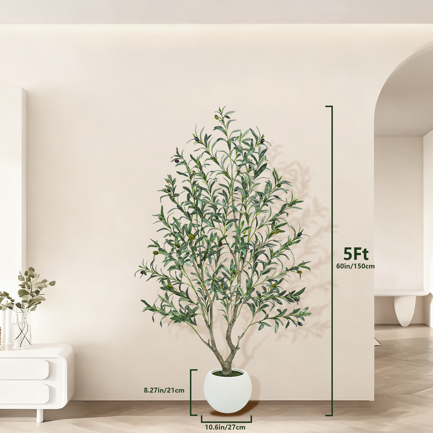 Potted plant with measurement details in a room setting