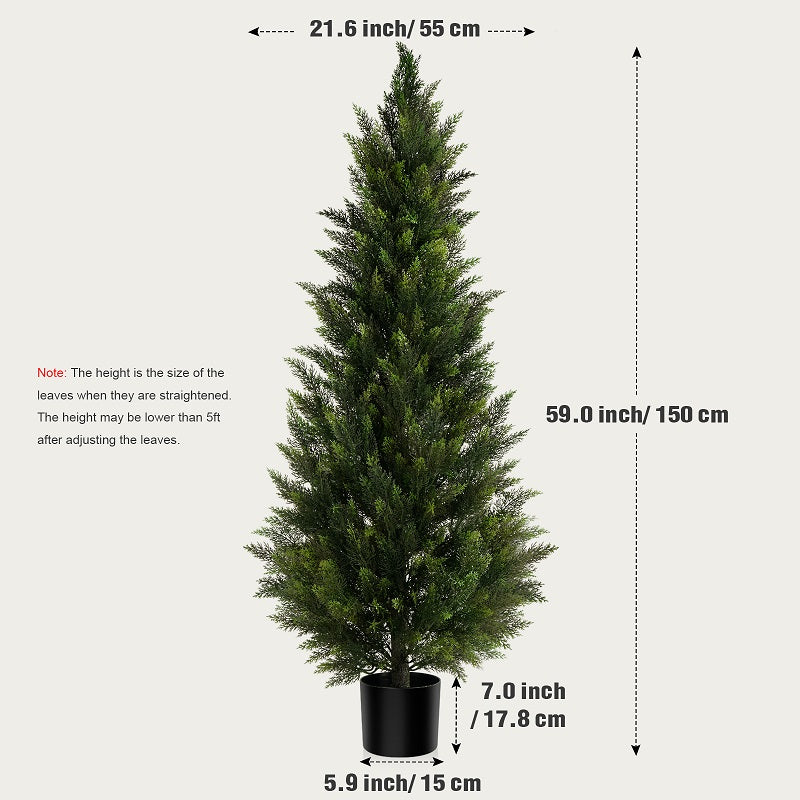 #Size_5'(150 cm)