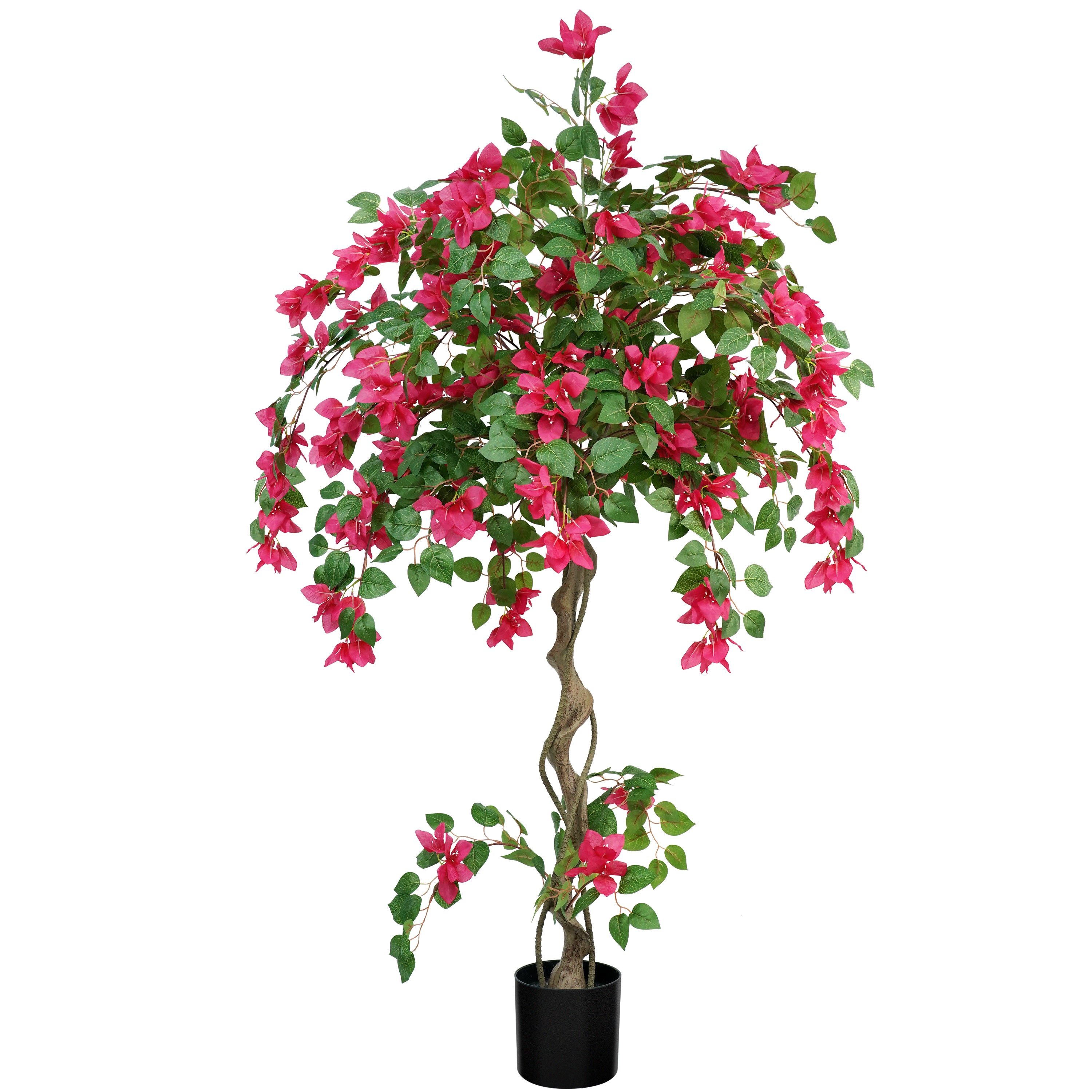 #Size_5'(160 cm)