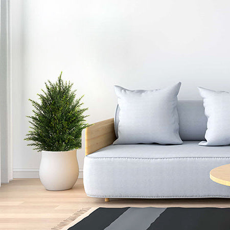 #Style_Potted