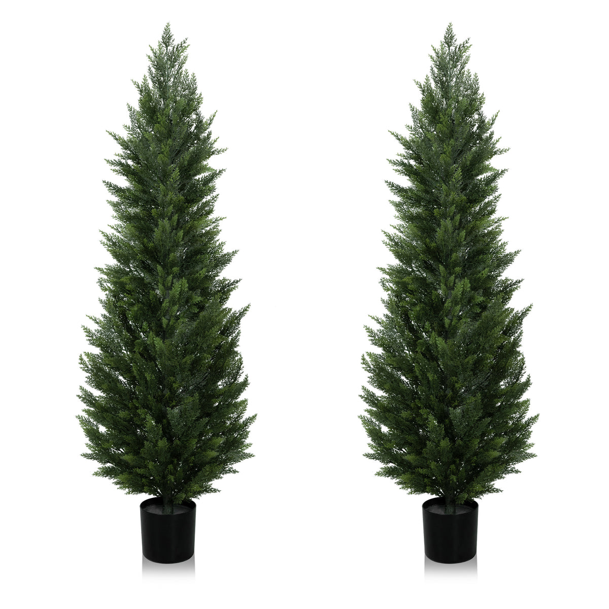 #Size_6'(72 In) #Quantity_2 Trees