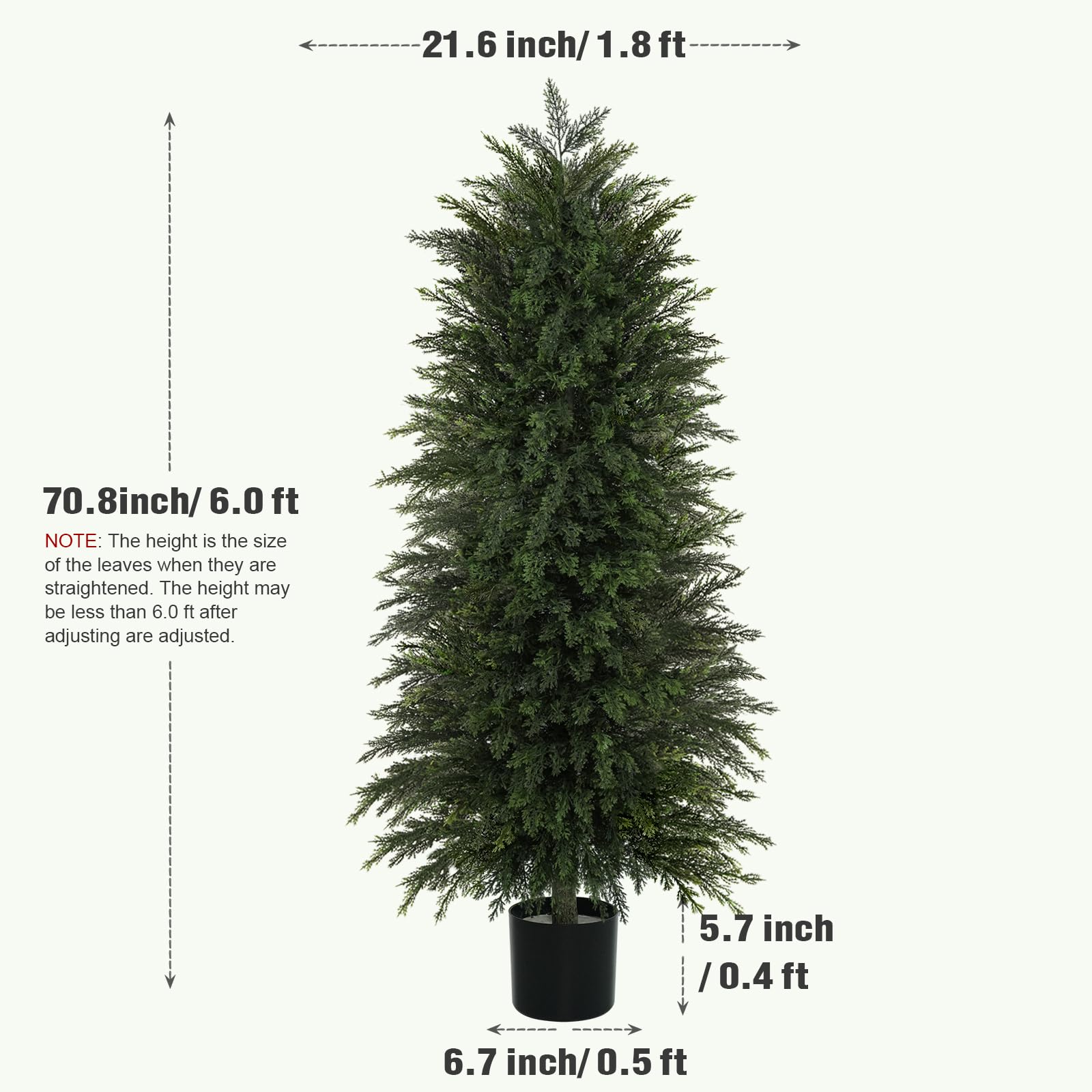 #Size_6'(180 cm)