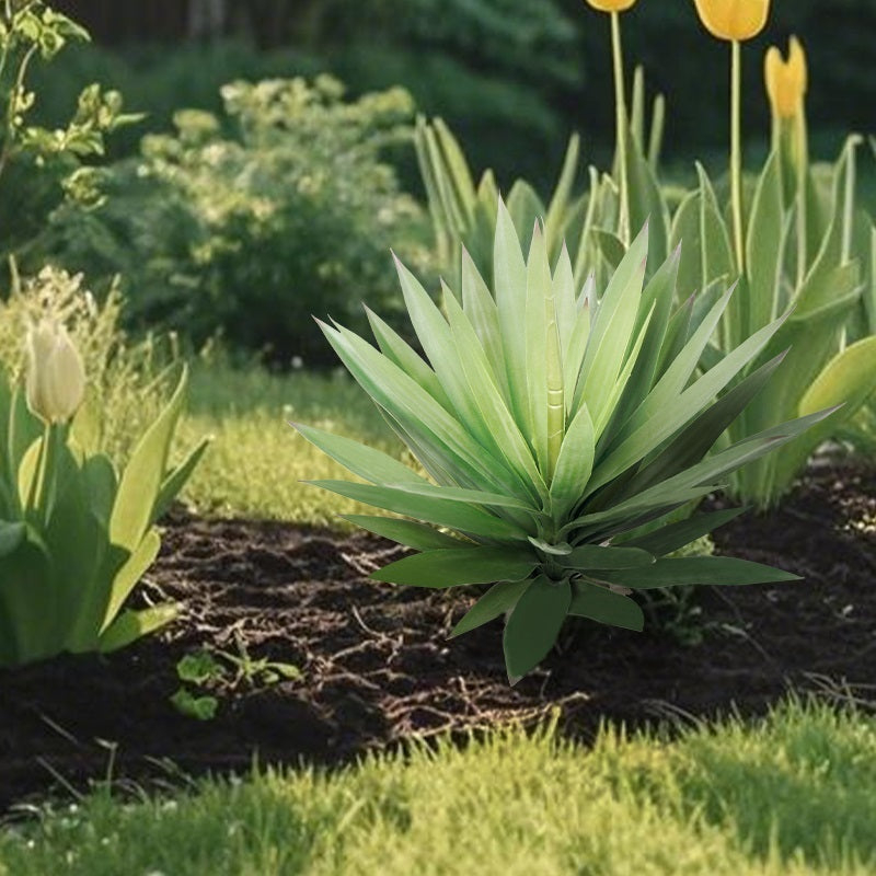 #Style_Upright Agave-70 cm