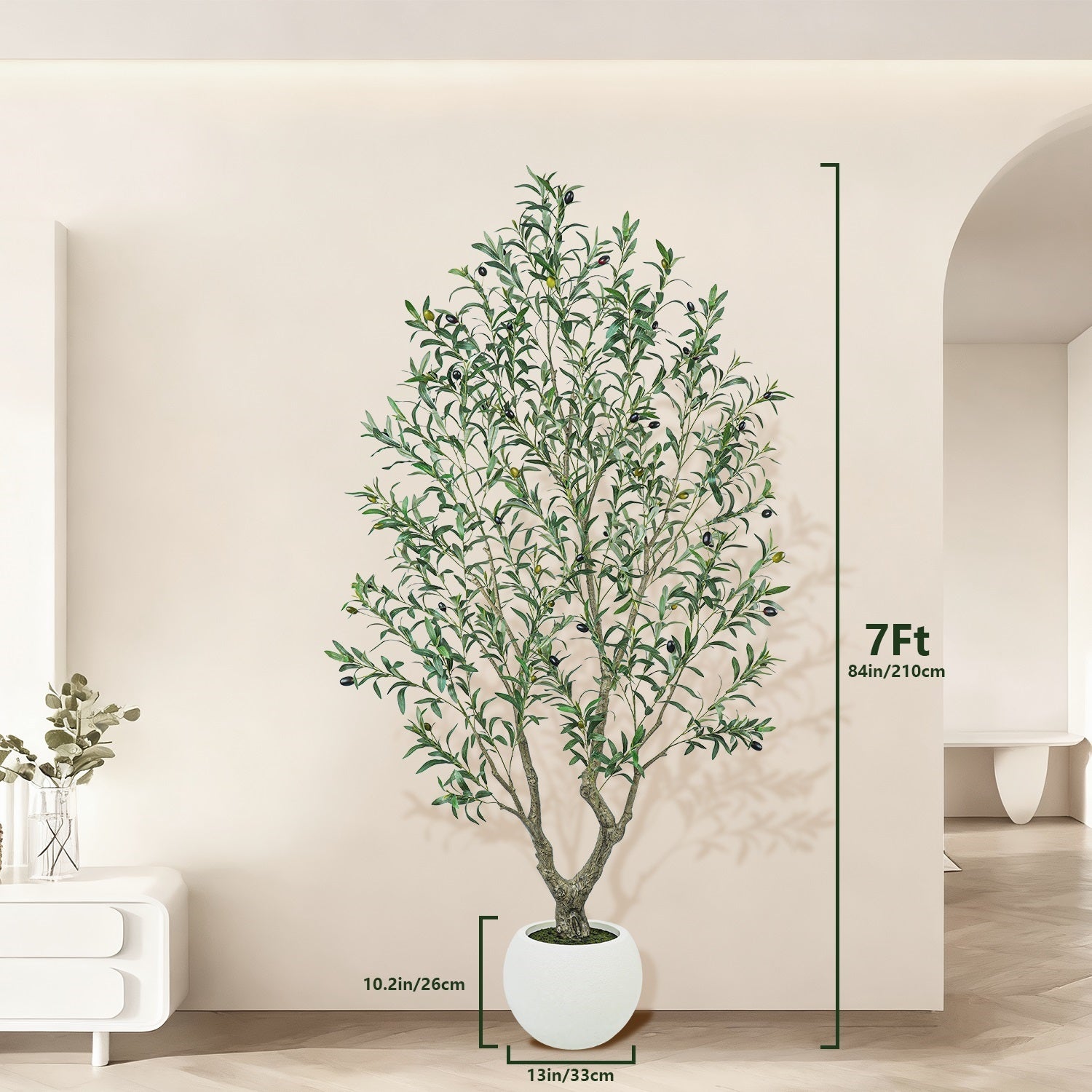 Potted plant with measurements against a neutral wall
