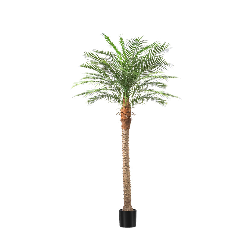 #Size_8' 18 leaves(240 cm)
