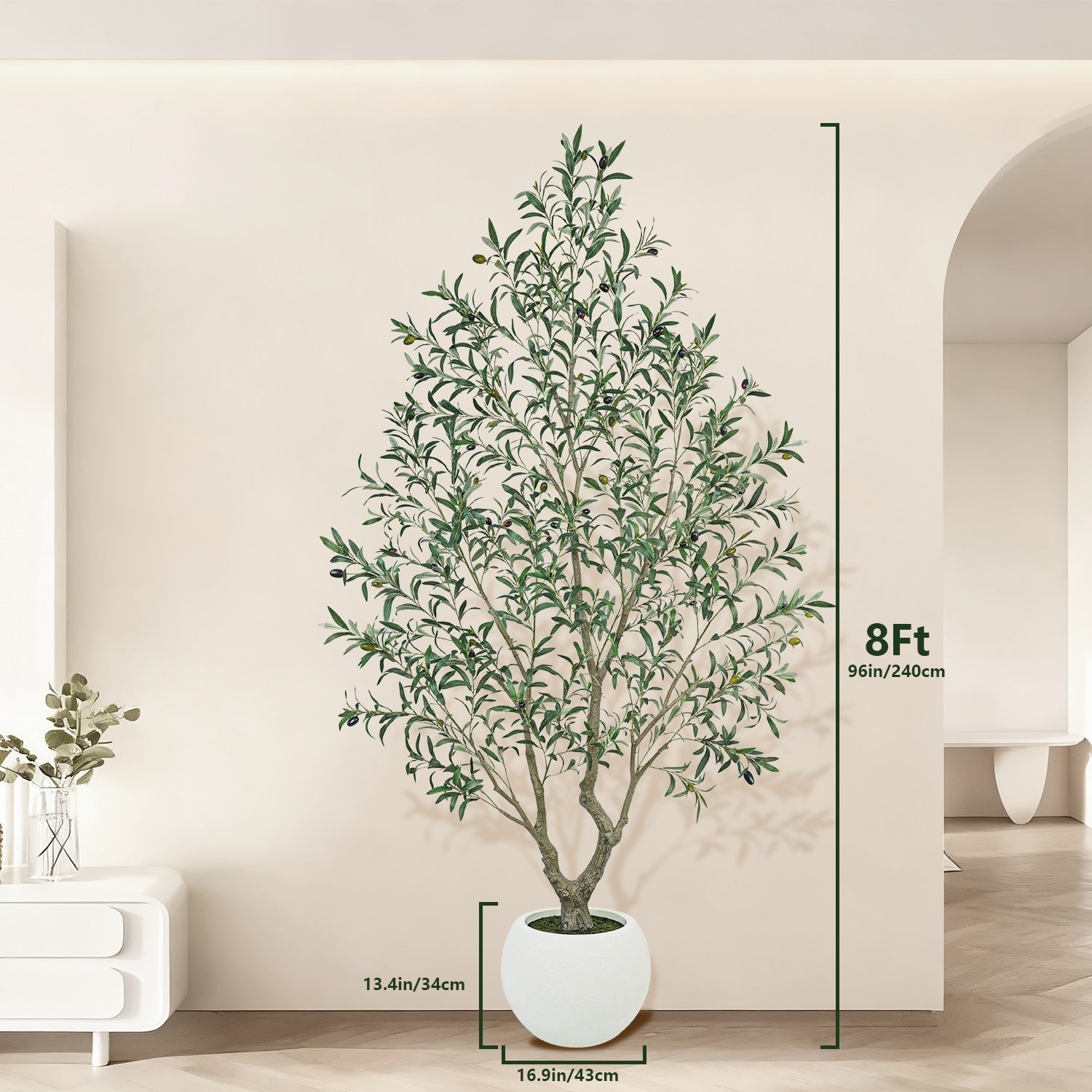 Potted plant with measurement details against a neutral wall