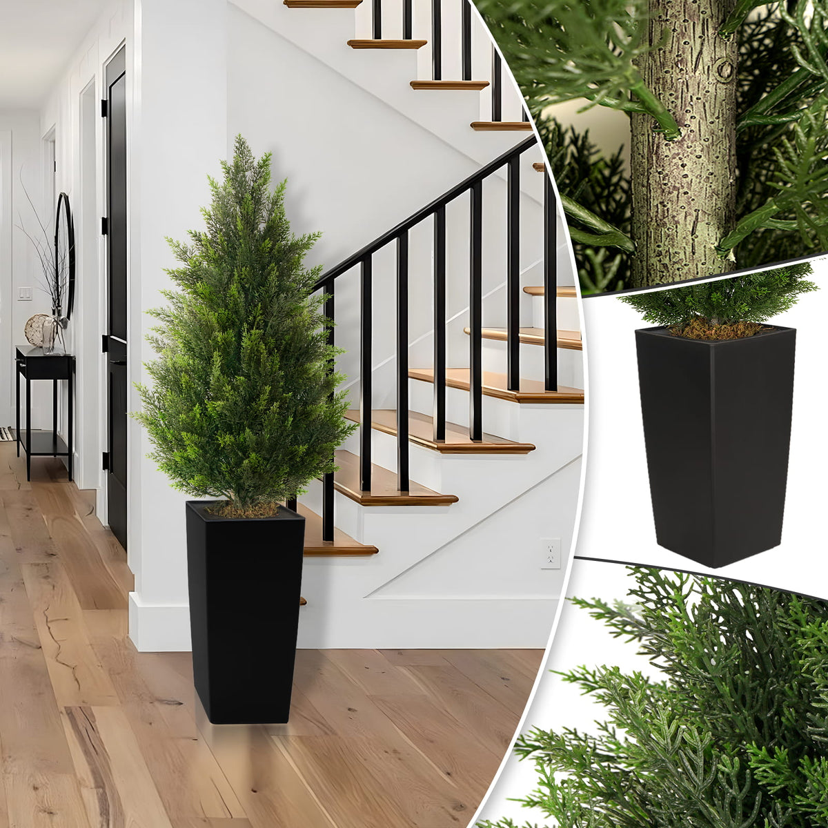 #Size_3'(36 In)+Black Pot(12 In)