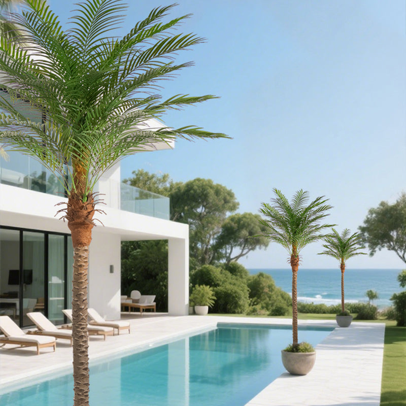 Modern poolside area with palm trees and ocean view