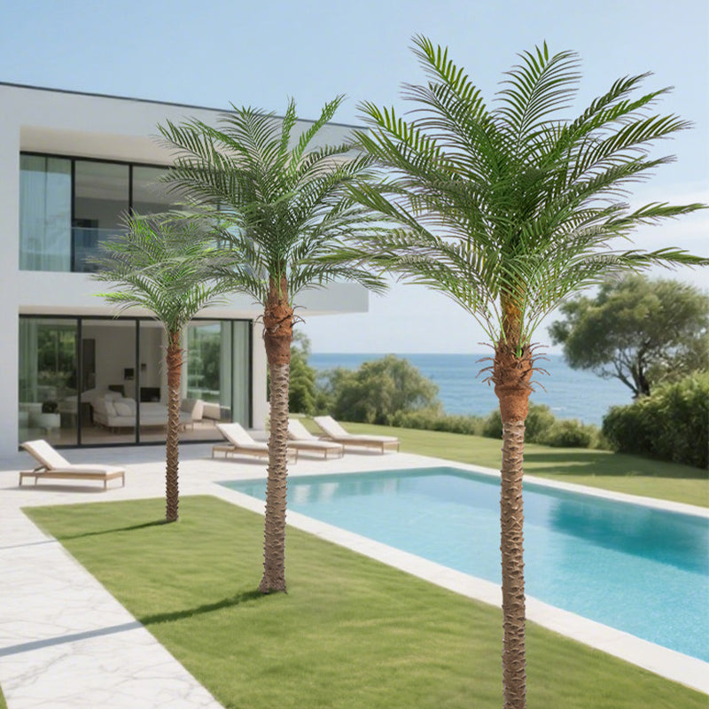 Modern house with a pool and palm trees by the sea