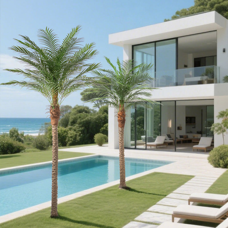 Modern house with a pool and palm trees by the ocean