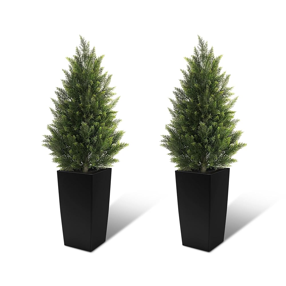 #Size_3'(36 In)+Black Pot(12 In)