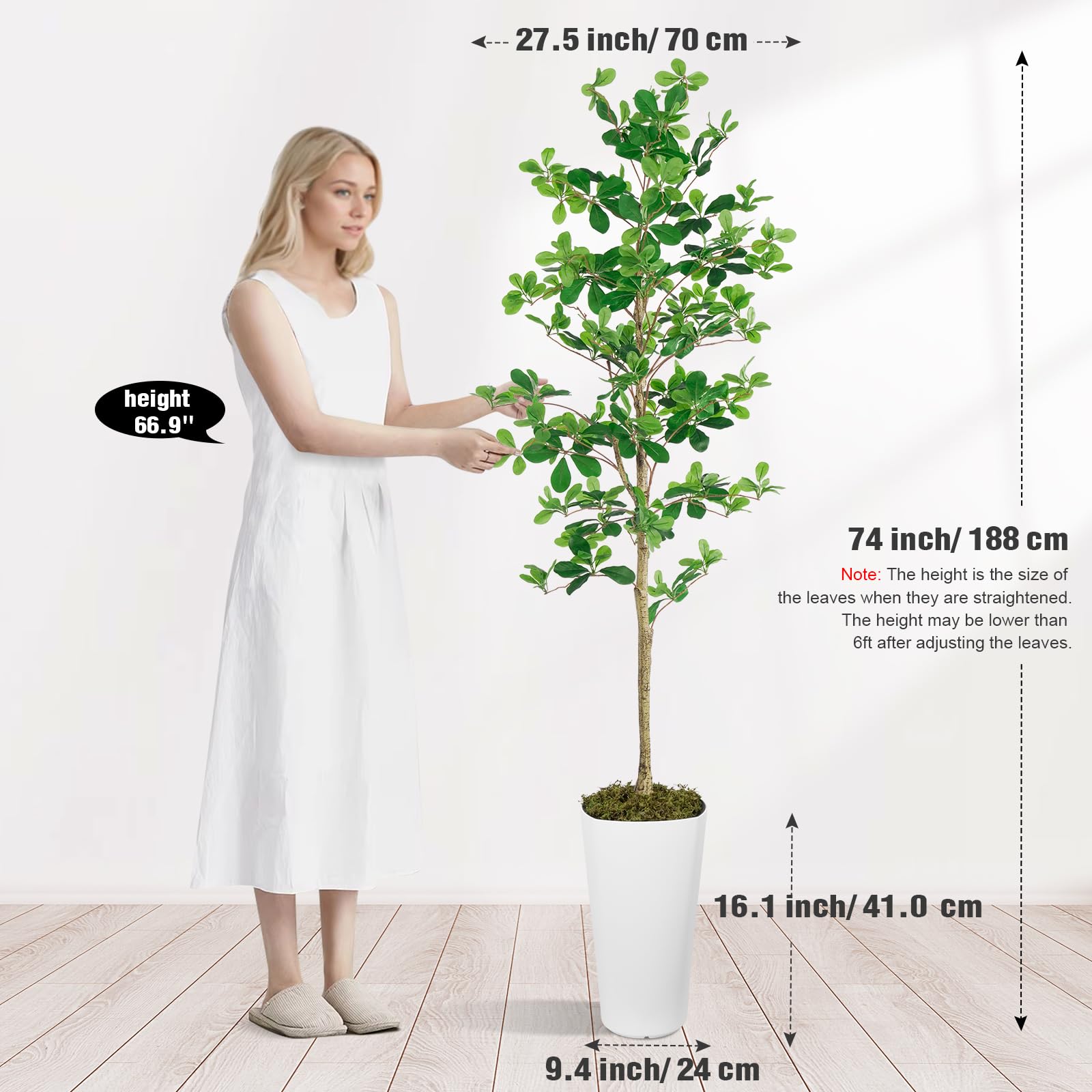 6' Shady Lady Trees(With White Plastic Pot)
