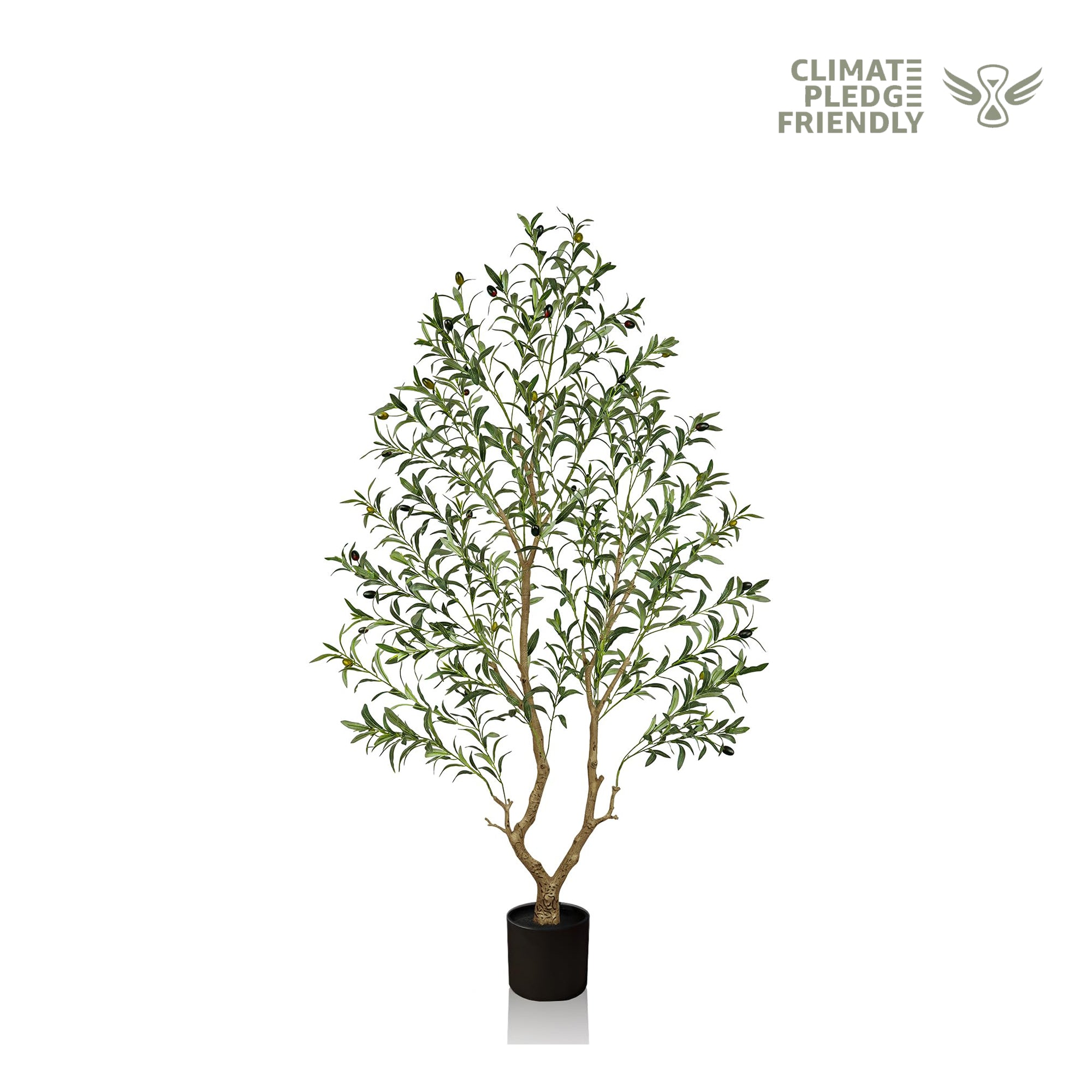 #Size_6'(183 cm)962 leaves